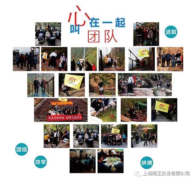 1528247697767184.jpg 640.webp.jpg